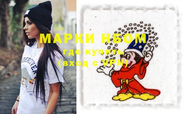мет Алексин