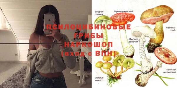 амф Алзамай
