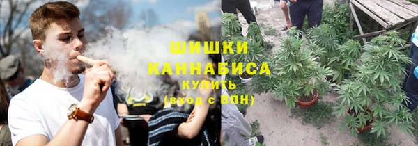 амф Алзамай
