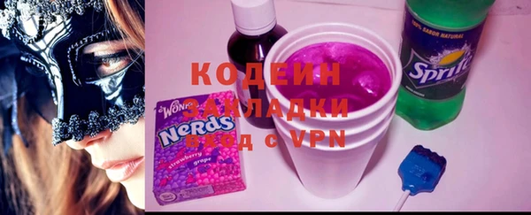 мет Алексин